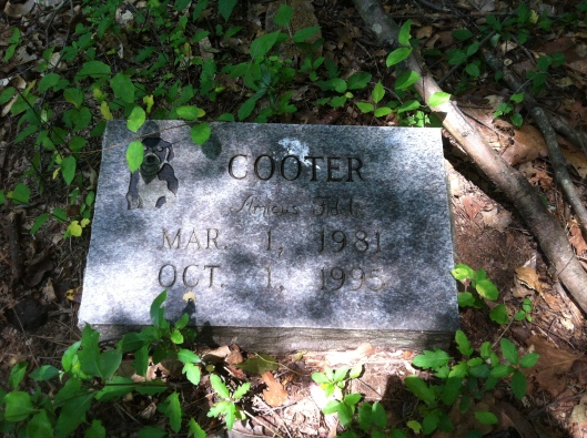 Cooter the dog was clearly a well loved pet, although I'm not sure his burial was approved beforehand. 